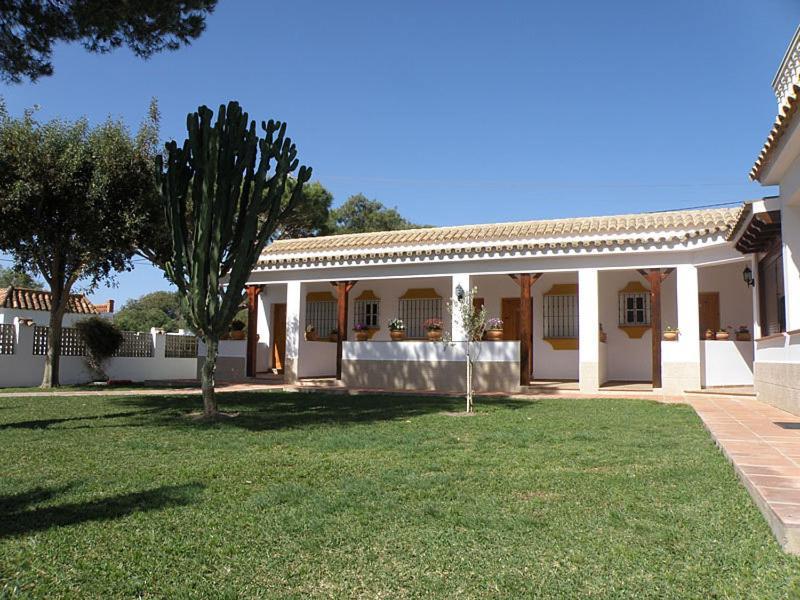 Hostal Las Acacias Los Canos De Meca Luaran gambar