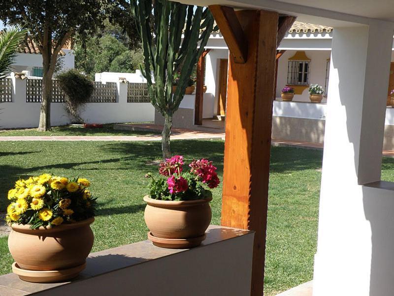 Hostal Las Acacias Los Canos De Meca Luaran gambar
